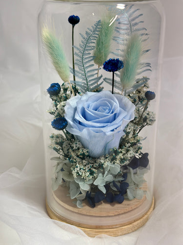 Dried flower dome blue - Pink Trunk