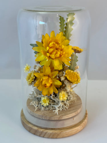 Mini dried flower dome - yellow by Pink Trunk