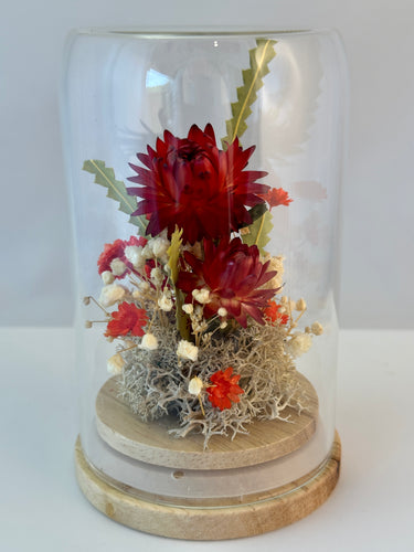 Mini dried flower dome in reds by Pink Trunk
